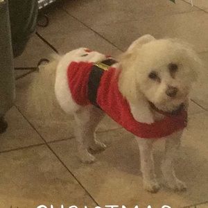 Meet your Posher, Tania